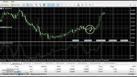 NEW USD/CAD UPDATE ANALYSIS, FLOATING 2000 PIPS  #forex