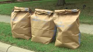 How to Get Rid of Yard Waste in Fort Worth