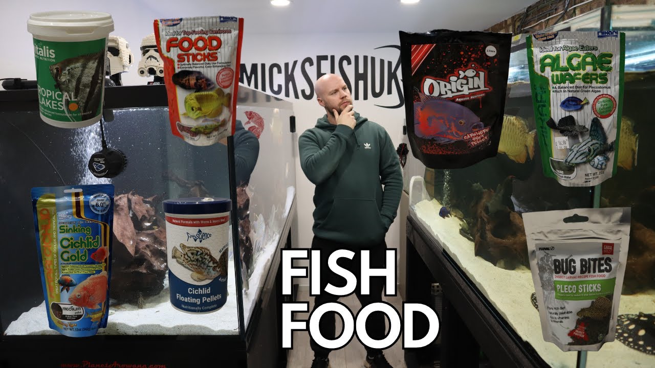 Dry Fish Food WHAT DO I USE?? YouTube