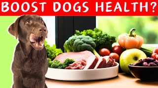 Top 10 Best Dog Foods Every Pet Parent Should Know!  #petnutrition  #healthypets  #thedodo