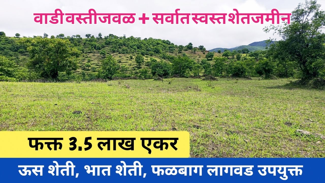 Low cost land ! low budget land ! कोल्हापूर जिल्ह्यातील सर्वात स्वस्त जमीन! land for sale