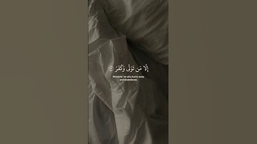أفلا ينظرون إلى الإبل كيف خلقت ) سورة الغاشية، القارئ عبد الرحمن مسعد #قرآن_كريم #ارح_قلبك