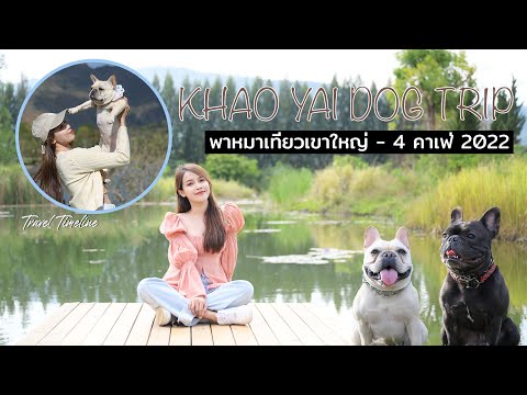 EP 12: Khaoyai Dog Trip พาหมาเที่ยว เขาใหญ่อัพเดท 5 ร้านหมาเข้าได้ 2022