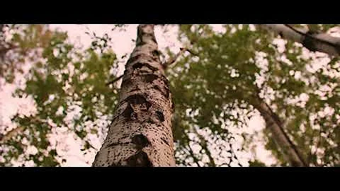 Outdoor ZCAM E2 160 FPS h265