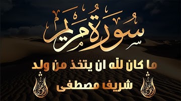 وما ينبغي للرحمن ان يتخذ ولدا | 🤍🤍 عندما يبدع شريف مصطفى في تلاوة القران الكريم