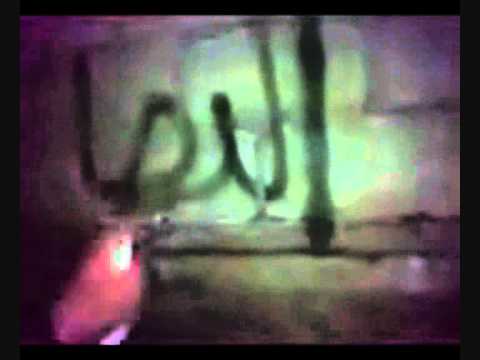 شهبا حملة بخ في ذكرى الثورة