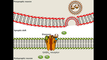 Diazepam - Mechanism of Action