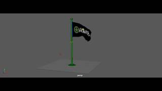 Flag Physics - Dynamics and Simulation