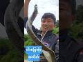 ကချင်ပြည်က ငါးမြွေထိုး