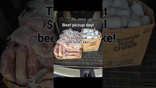 What a Quarter Side of Beef Looks Like | Suburban Homesteading