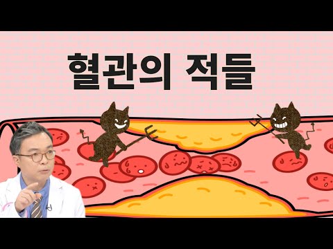 한국인 혈관건강의 가장 위험한 적은 무엇일까?