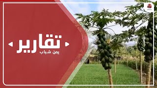 تبعات وتكاليف الزراعة يهددان بانحسار الرقعة الزراعية في لحج