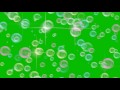 Bubble Green Screen Overlay  Effect HD Animation Футаж мыльные пузыри