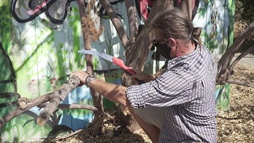 The Three Cut Method