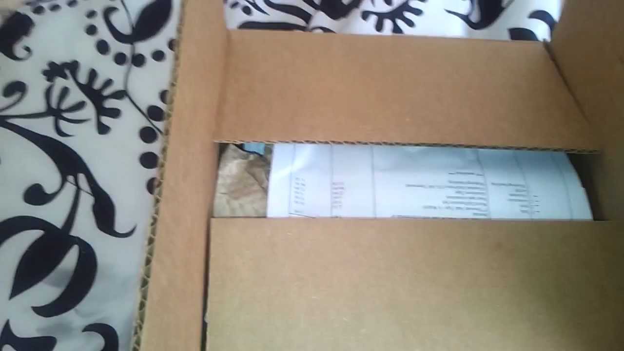 Reptile Basics Unboxing - YouTube