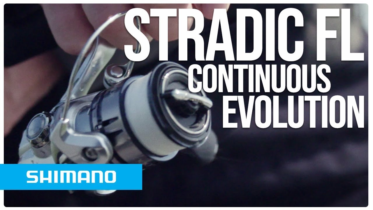 ingérence Baron crédit moulinet shimano ultegra xsa 10000 vol pois Correspondanc