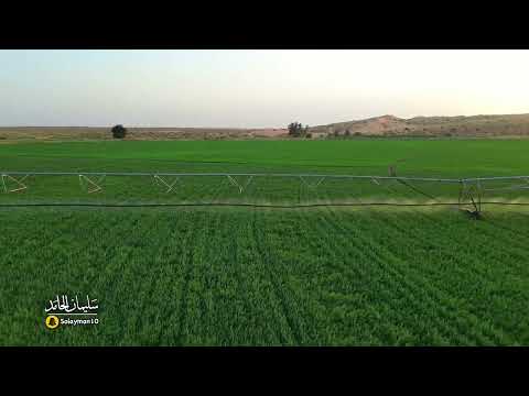 حمام لجيت مرار