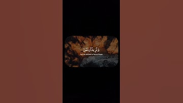 وَنُريدُ أَن نَمُنَّ عَلَى الَّذينَ استُضعِفوا فِي الأَرضِ | محمد صديق المنشاوي | سورة القصص