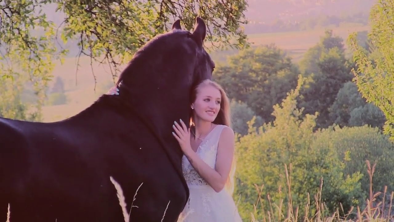 Goodbye - R.I.P. Mambo #runfreemambo || fabilein93