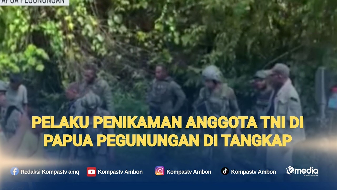 Pelaku Penikaman Anggota TNI di Papua Pegunungan di Tangkap