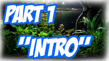Mini Tank Build | PART 1 "Introduction"