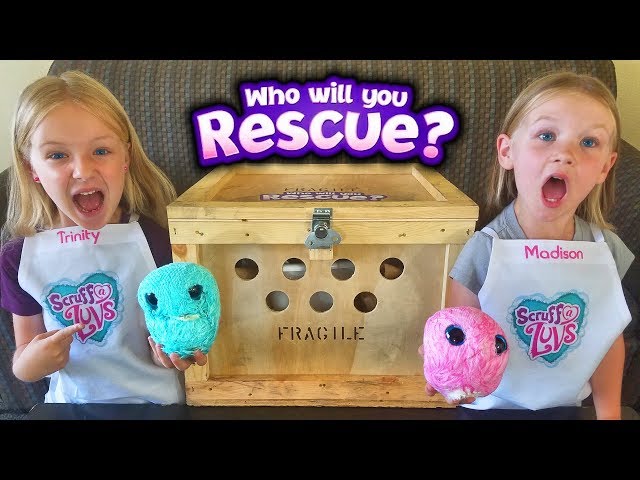 Rescued Crate Creatures! We Found them Scruffy and MakeThem Fluffy! Scruff a Luvs Toy Unboxing! class=