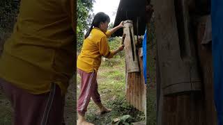 pawang memanggil Hujan#Tufung#gong kayu#ladang#sawahpedesaan