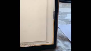 Virtual Learning Explained- (Dade Schools: 3rd grade)