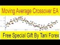 Moving Average Cross Over EA  101ForexBrokers.com