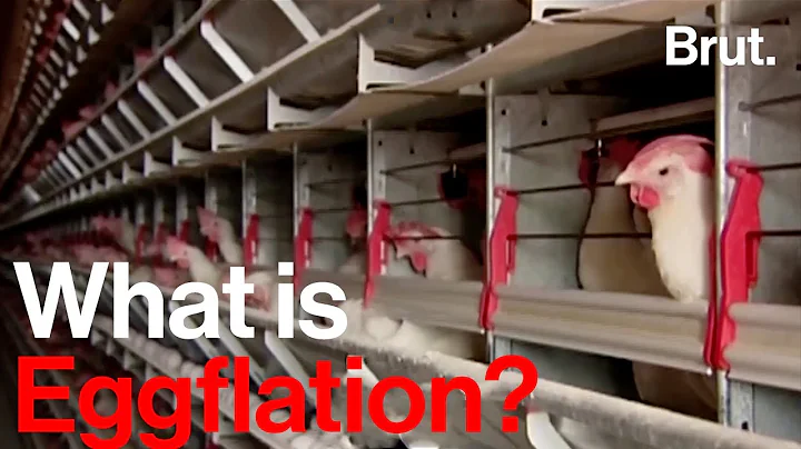 Explaining "Eggflation"