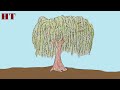 How to draw a willow tree step by step for beginners