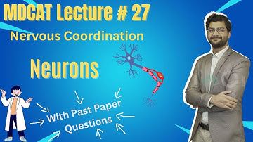 27- Neurons - Nervous Coordination- Lecture # 27 #mdcat #mdcat2023  #mdcatlectures #mdcatonlineprep