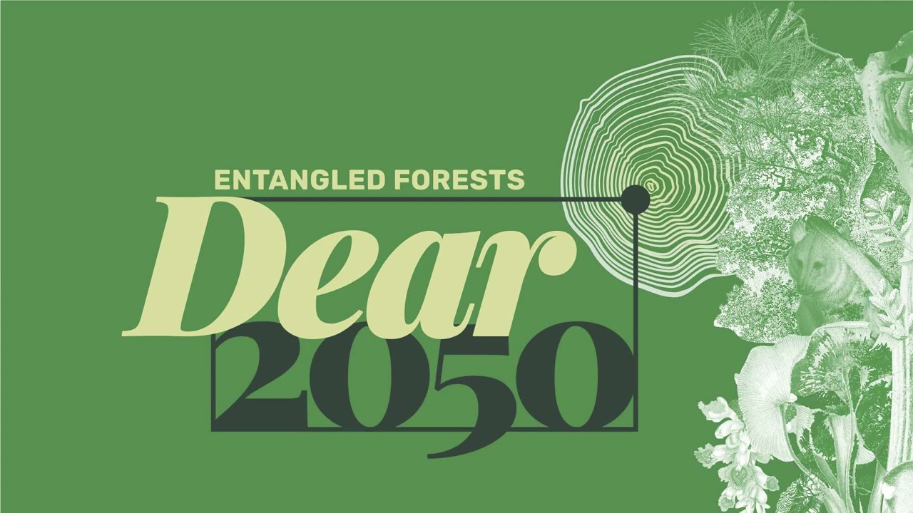 Entangled Forests:  Am PERL mit Philipp Schuler