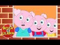 Three Little Pigs Song