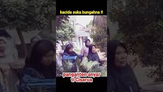 🔴kacida suka bungahna panganten atos laksana #shortvideos