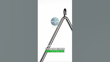 The Power of Frequencies   Masaru Emoto