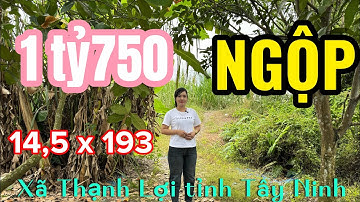 Tập 99: ☎️0348.680.619  DT 2.810m ( 14,5 x 193 ) giá 1tỷ 750 triệu 