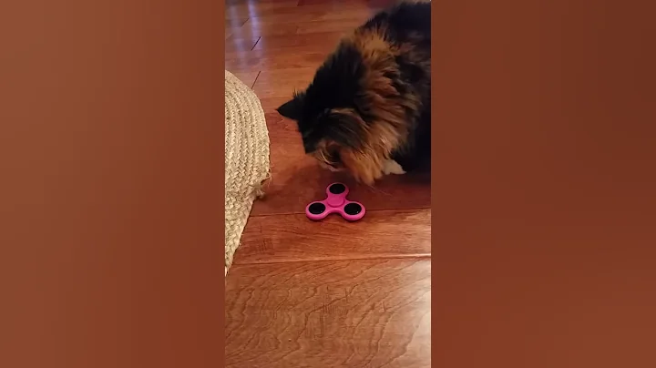 Molly spinnng