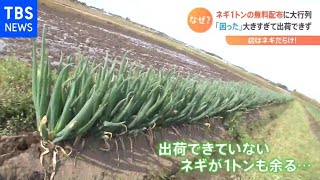 【知りたい】値上げの春に安い野菜　“豊作すぎる野菜”も