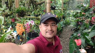 Un recorrido en el jardín 😀 rodeado de mucha naturaleza y floración 