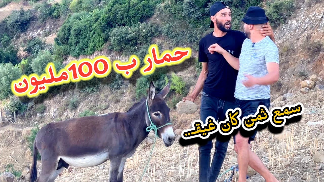 حمار ب 100 مليون خونا سمع ثمن تلف مفهمًوالو