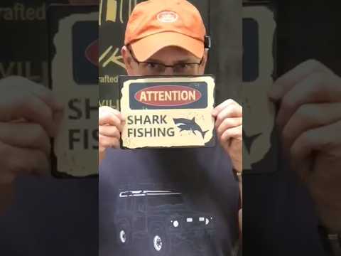 Wanna see some cool shark stuff?!    