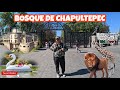 Video de Chapultepec