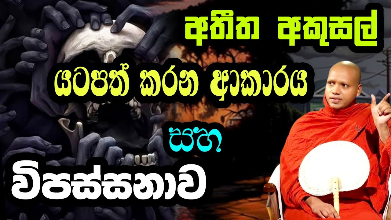 අතිත අකුසල් යටපත් කරන ආකාරය | Hasalaka Seelawimala Thero  | හසලක සීලවිමල හිමි