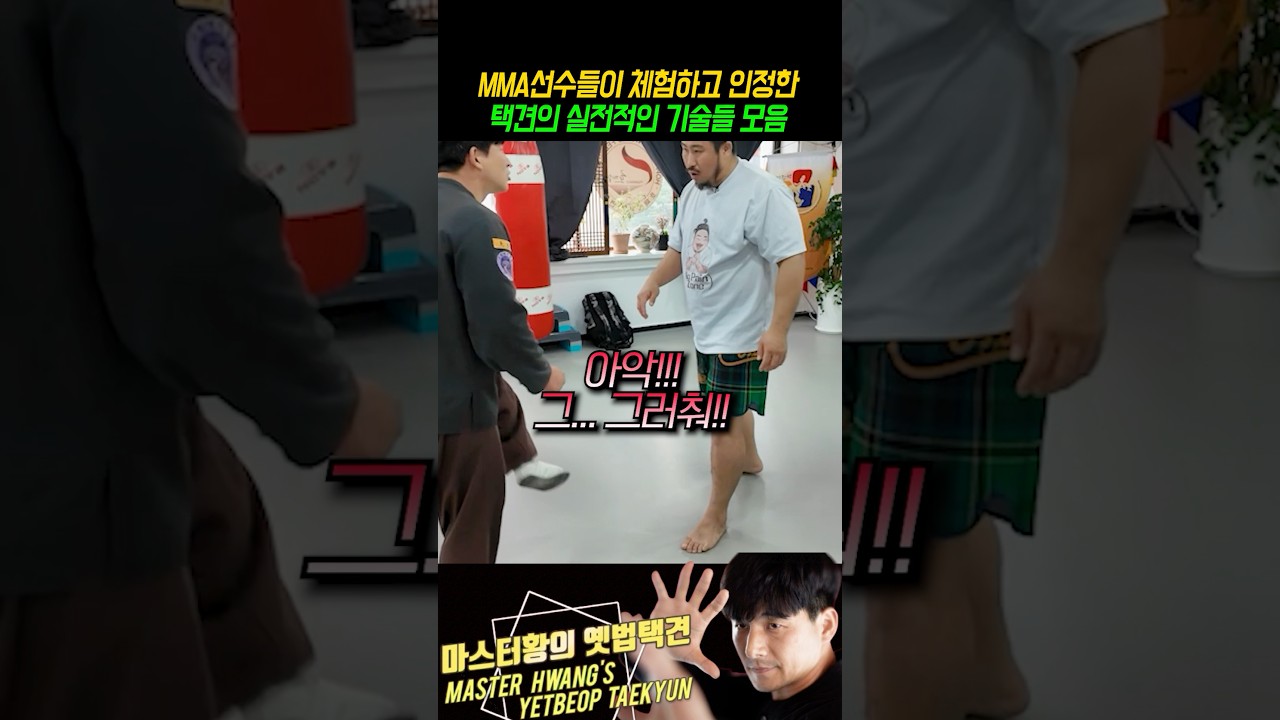 MMA선수들이 인정한 택견의 기술들