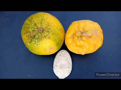 Dawa Ya Kuongeza Hamu Ya Kula