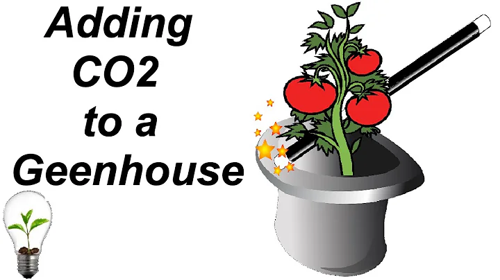 Unlock the Magic of CO2 Growing in Greenhouses