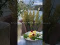 Pause Reset Reflect | Self Care & Wellness Reminder