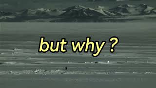 Nihilist Penguin  But Why  Faustian Figures