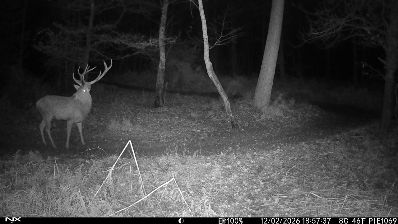 Je déplace ma camera. C'est incroyable !